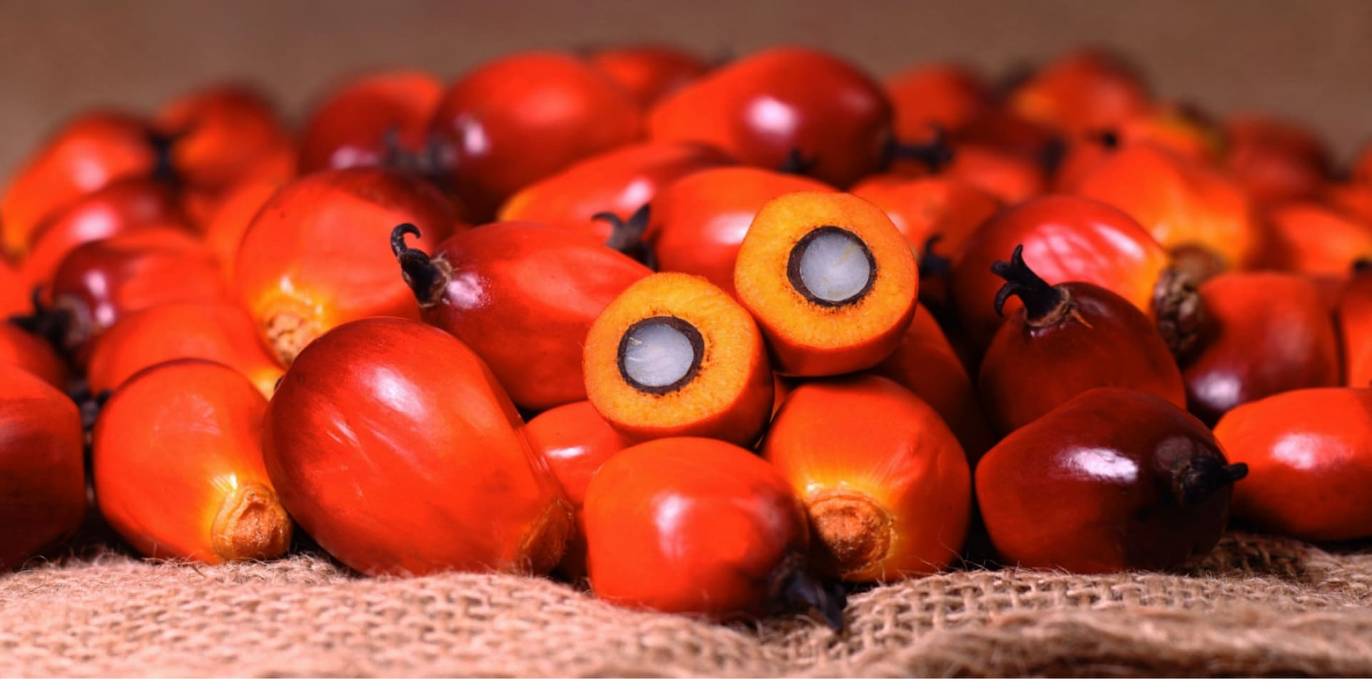 palm oil